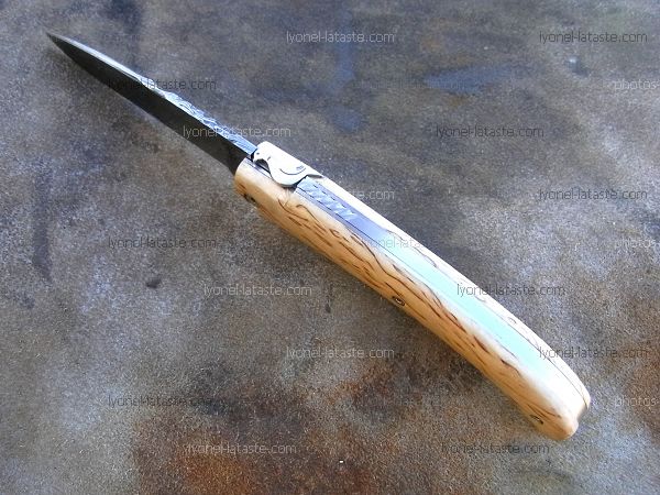 Couteau LOU PALOUMAYRE manche en bouleau madré et sa palombe avec petit guillochage sur le ressort.