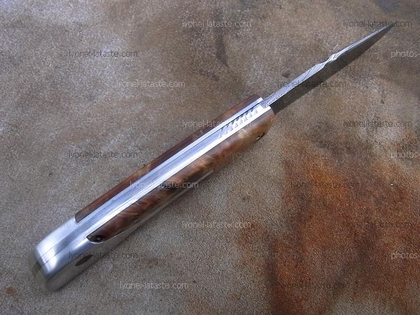 Couteau LE BACASSIER manche en loupe de peuplier stabilisée avec petit guillochage sur le ressort ainsi que le dos de lame.