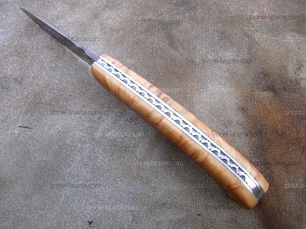 Couteau pliant Le Bazadais manche loupe de peuplier, guillochage du ressort et dos de lame.