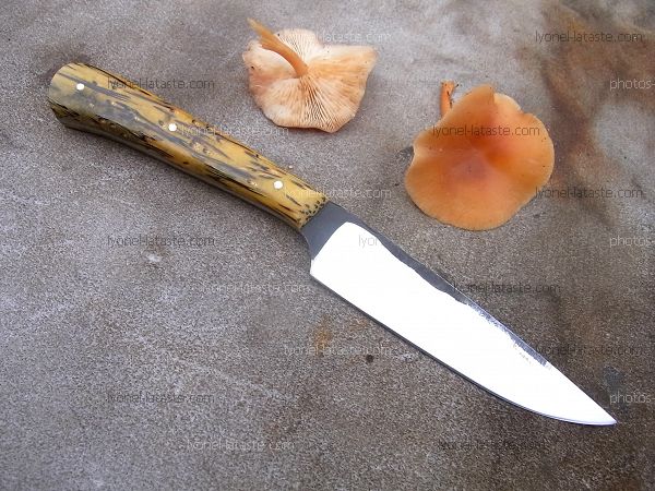 Couteau de cuisine forgé, manche en palmier avec lame en acier xc75.