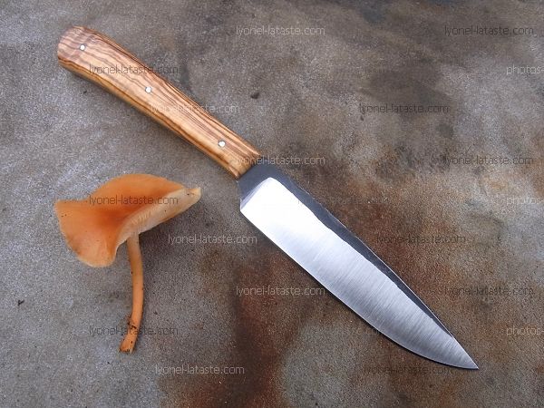 Couteau à huitre en os teinté avec lame damas.